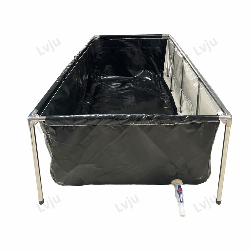 Marine Aquarium With Sump - Lvju Cá Bể Cá 75-1100 Gallon