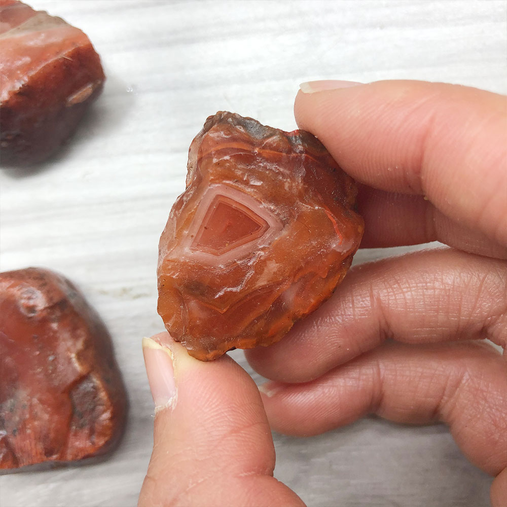 Aquarium Marine Stone - 1 Máy Tính Ngẫu Nhiên Thô