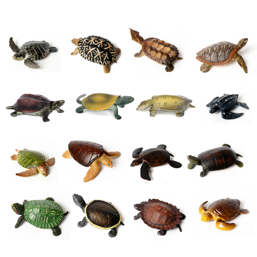 Marine Aquarium Decorations - Thực Tế Bức Tiểu Họa Sinh