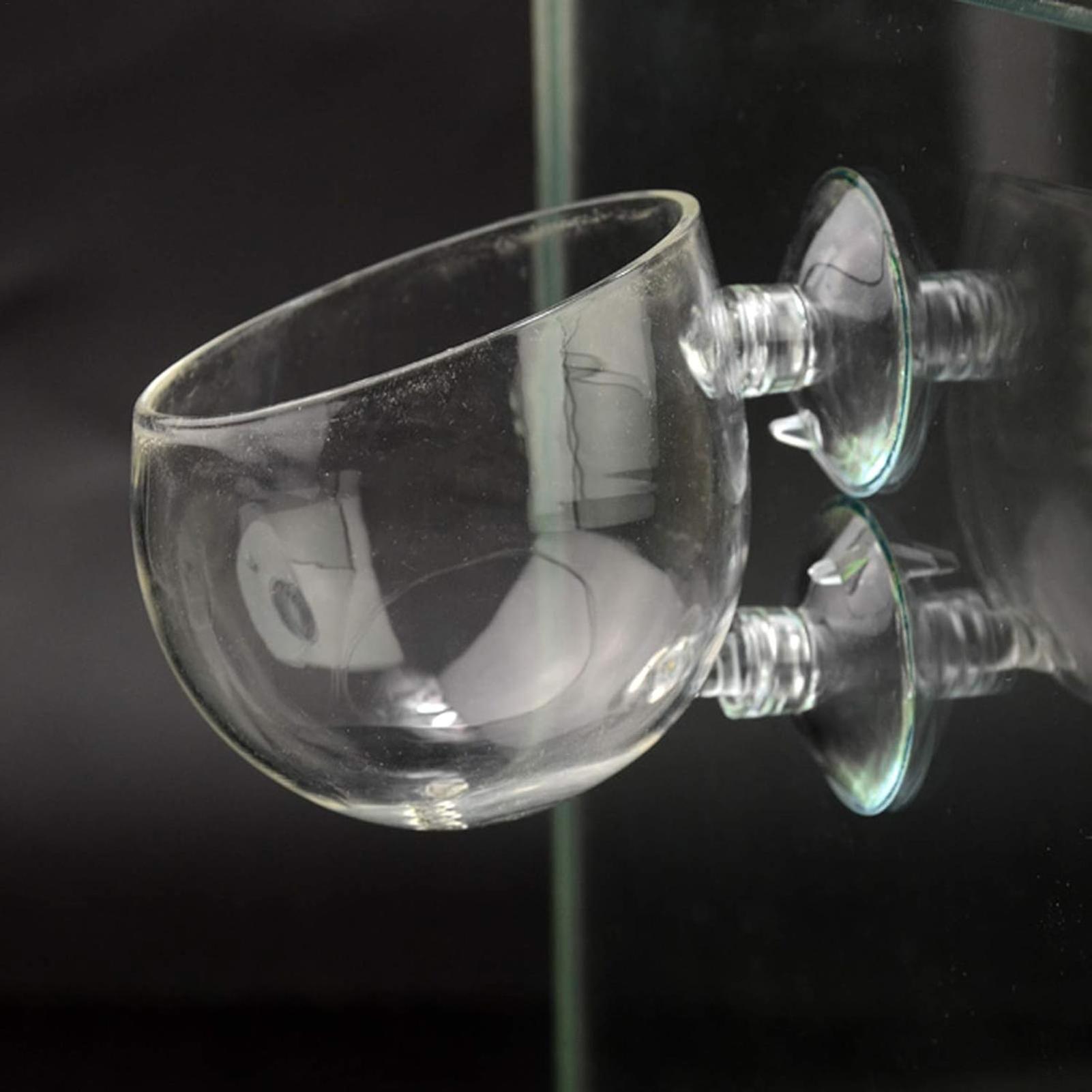 Aquarium Plant Holder Glass Aq - đánh giá và giá Marine Aquarium Live