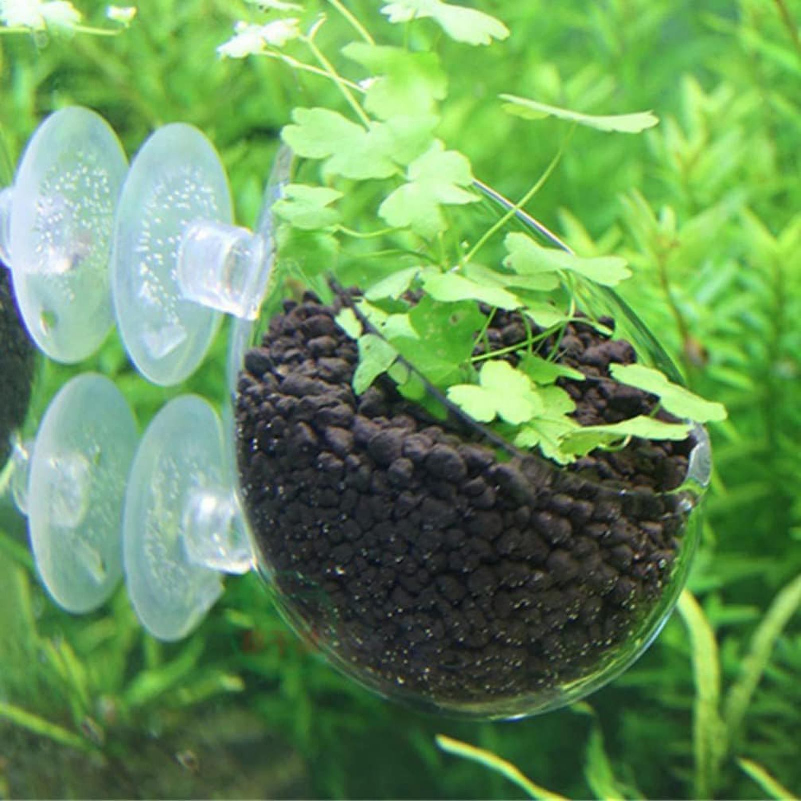 Aquarium Plant Holder Glass Aq - đánh giá và giá Marine Aquarium Live