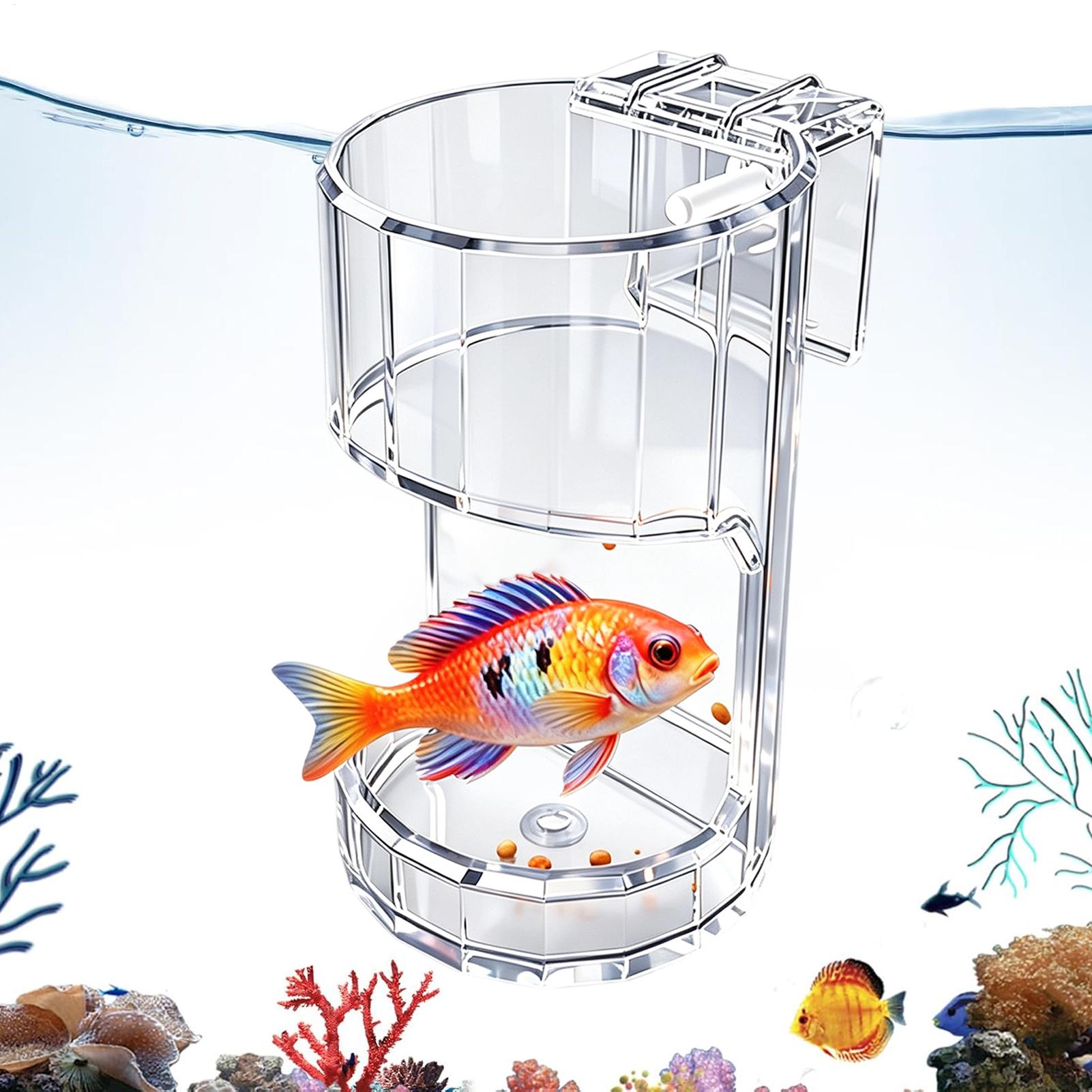 Aquarium Feeding Dish Transpar - đánh giá và giá Marine Aquarium Live