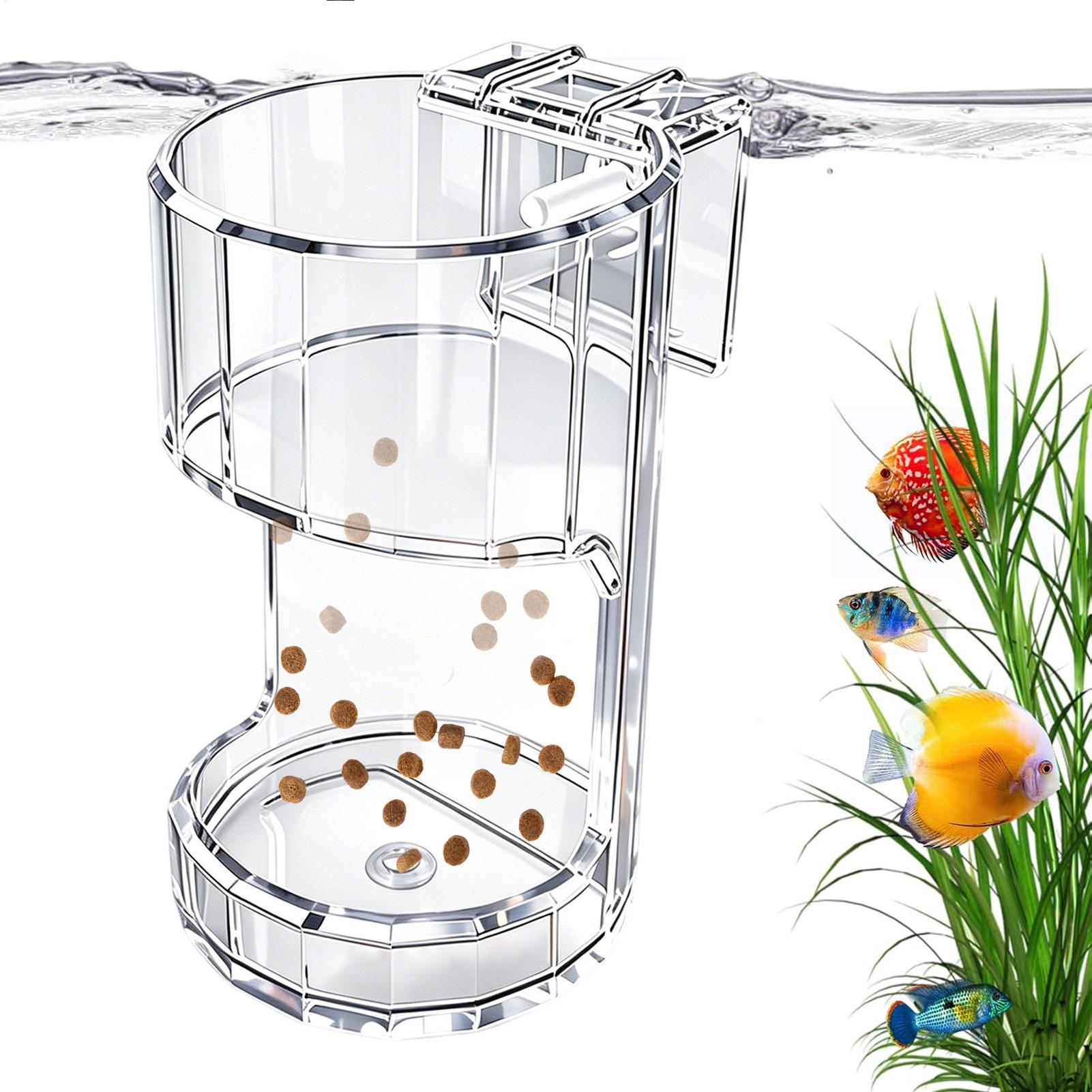 Aquarium Feeding Dish Transpar - đánh giá và giá Marine Aquarium Live
