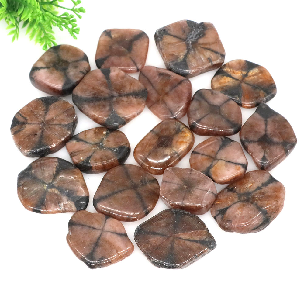 Natural Cross Chiastolite Quar - đánh giá và giá Aquarium Marine Stone