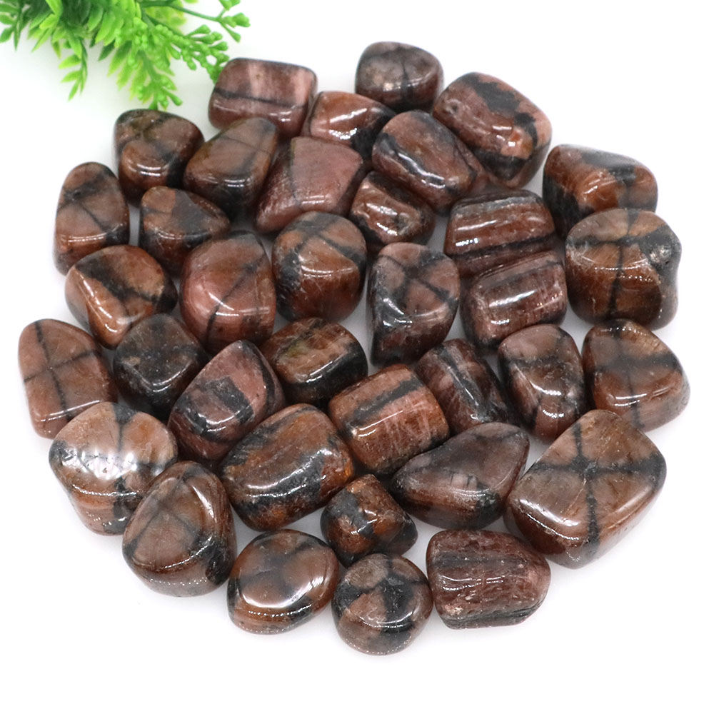 Natural Cross Chiastolite Quar - đánh giá và giá Aquarium Marine Stone