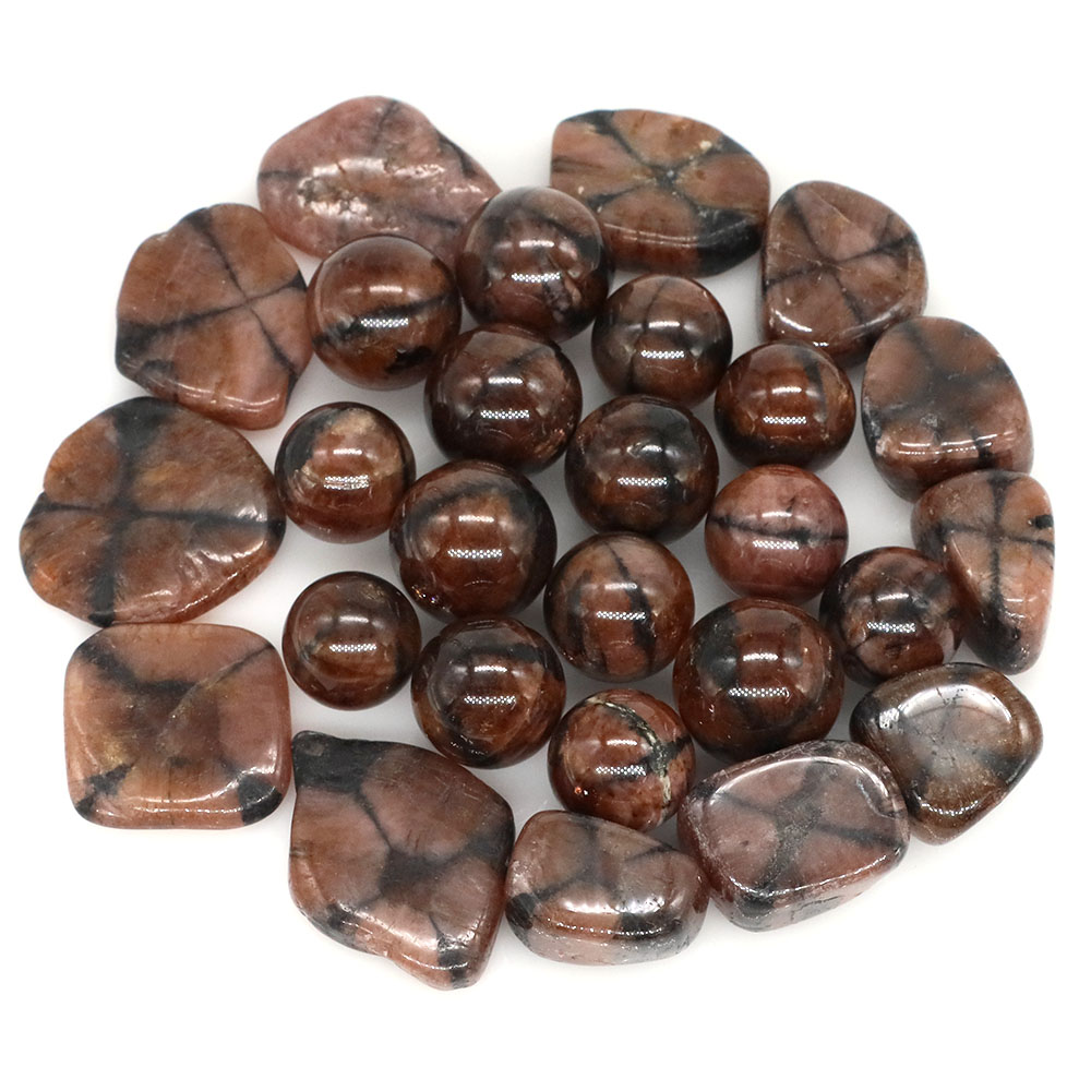 Natural Cross Chiastolite Quar - đánh giá và giá Aquarium Marine Stone