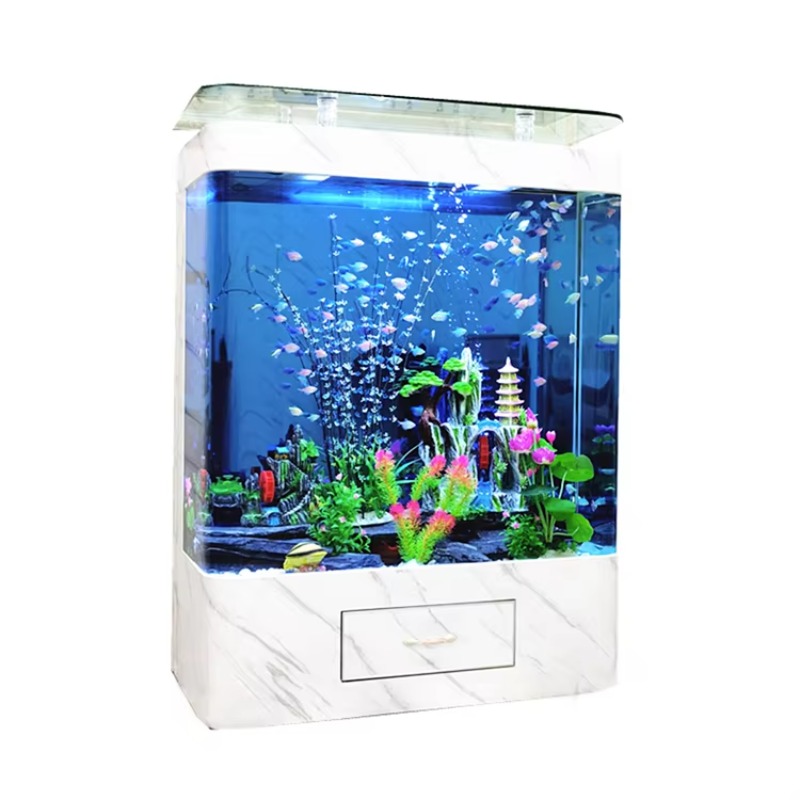 Marine 200 Gallon Glass Fish A - đánh giá và giá Marine Aquarium Live