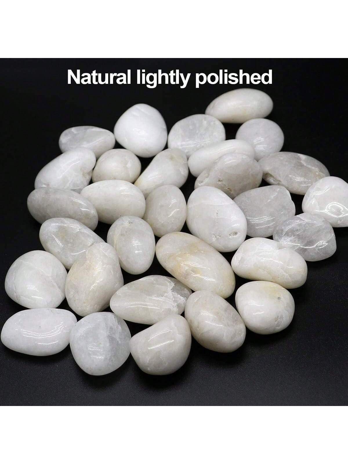 River Rocks Decorative Ornamen - đánh giá và giá Aquarium Marine Stone