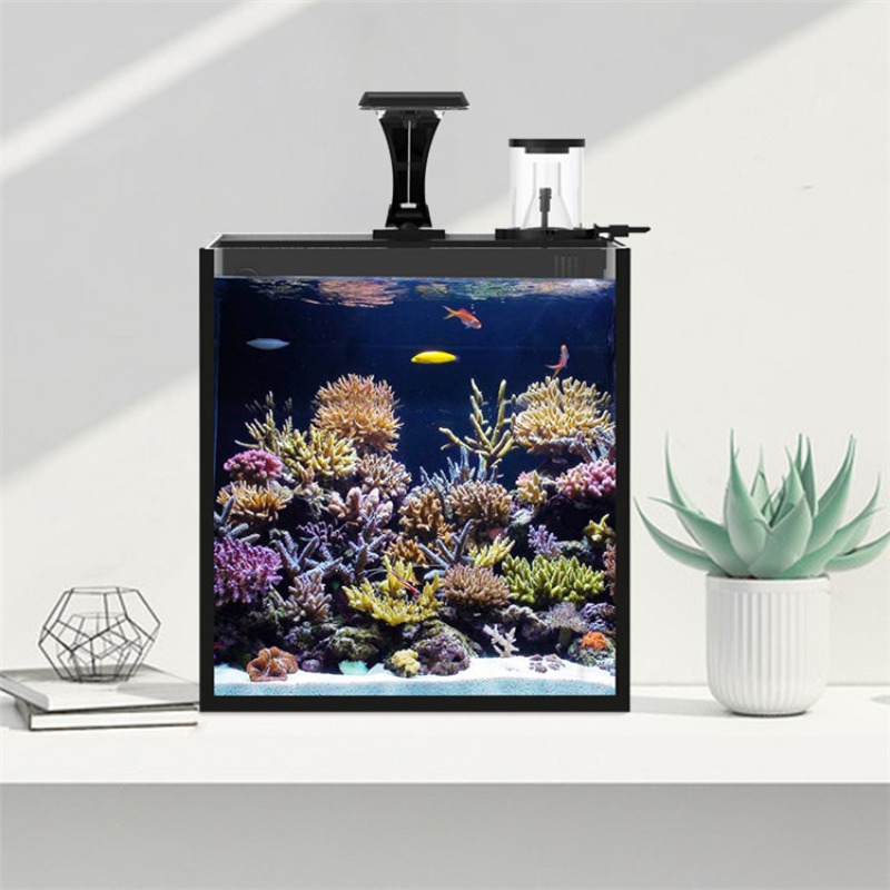 Ultra-transparent glass mini s - đánh giá và giá Aquarium Marine Salt