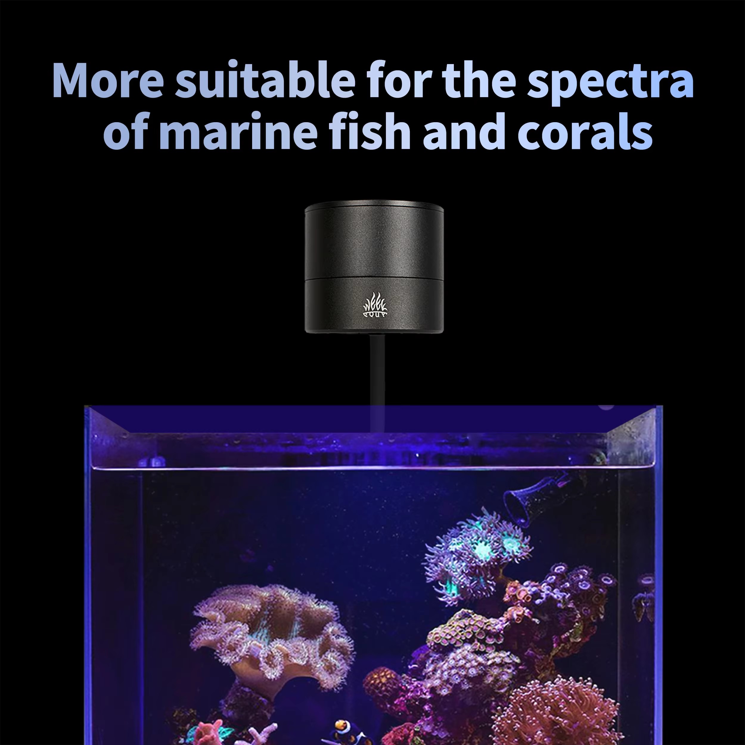 WEEK AQUA Aquarium Light Manuf - đánh giá và giá Aquarium Marine Salt