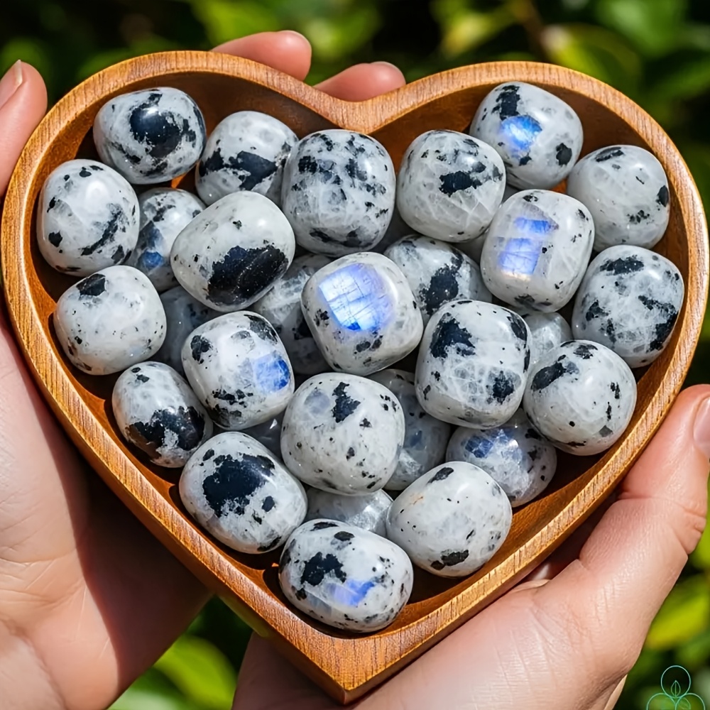 1 Bag 100g Natural Flashy Moon - đánh giá và giá Aquarium Marine Stone