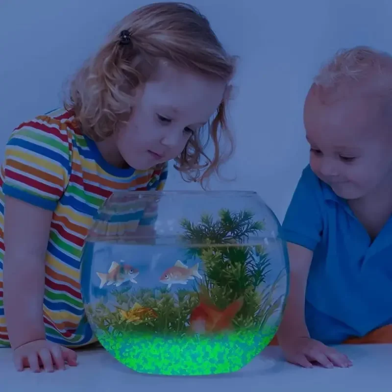 1000pcs 3-5mm Luminous Sand Gl - đánh giá và giá Aquarium Marine Stone