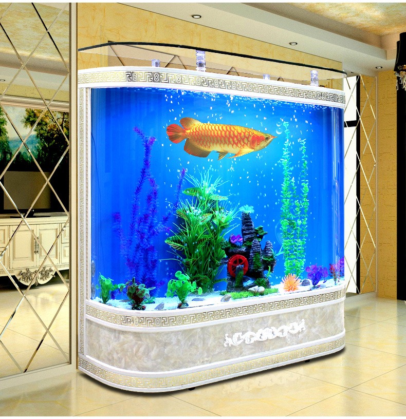 Customized Large Glass Fish Ta - đánh giá và giá Marine Aquarium Live