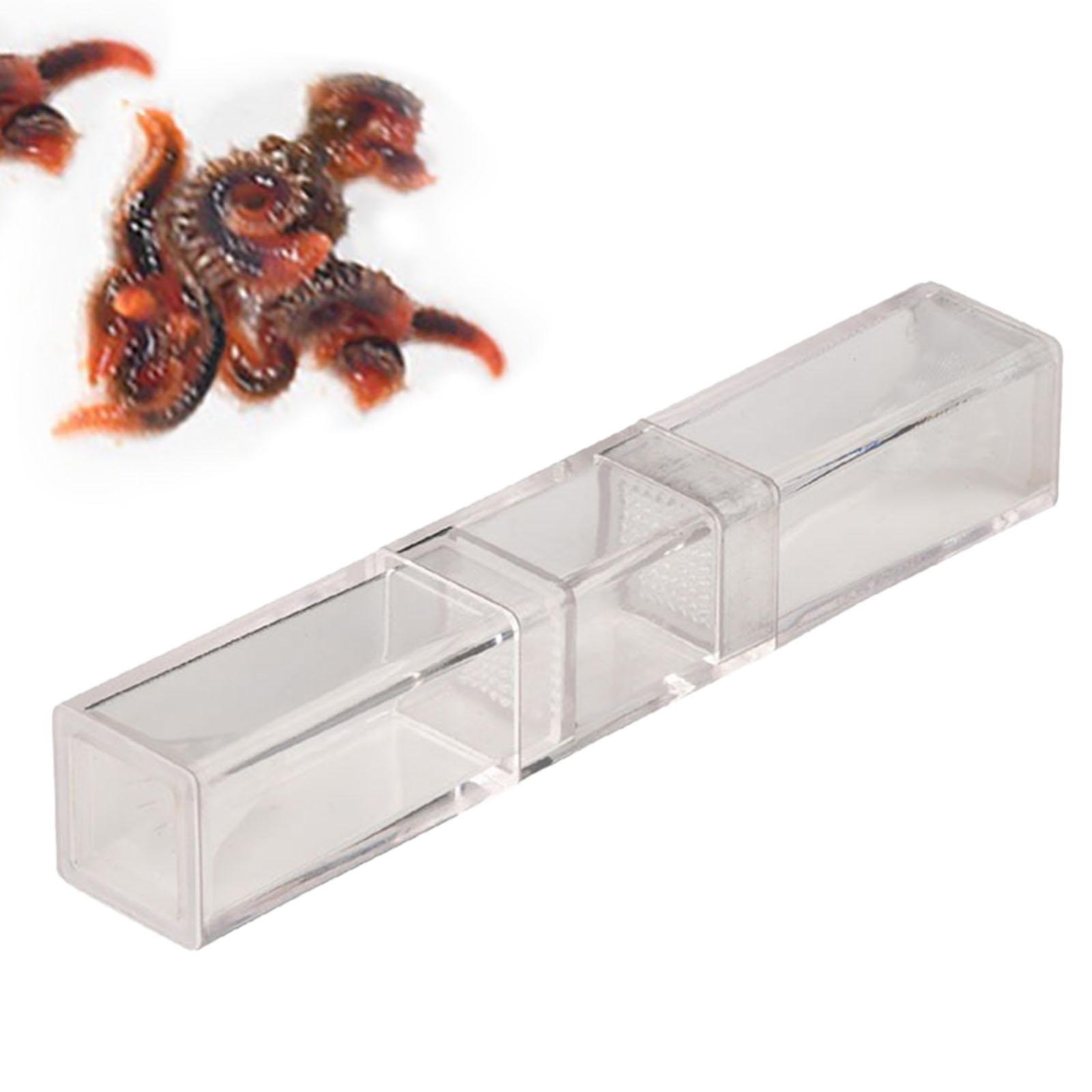 Aquarium Planaria Catcher for  - đánh giá và giá Marine Aquarium Worms