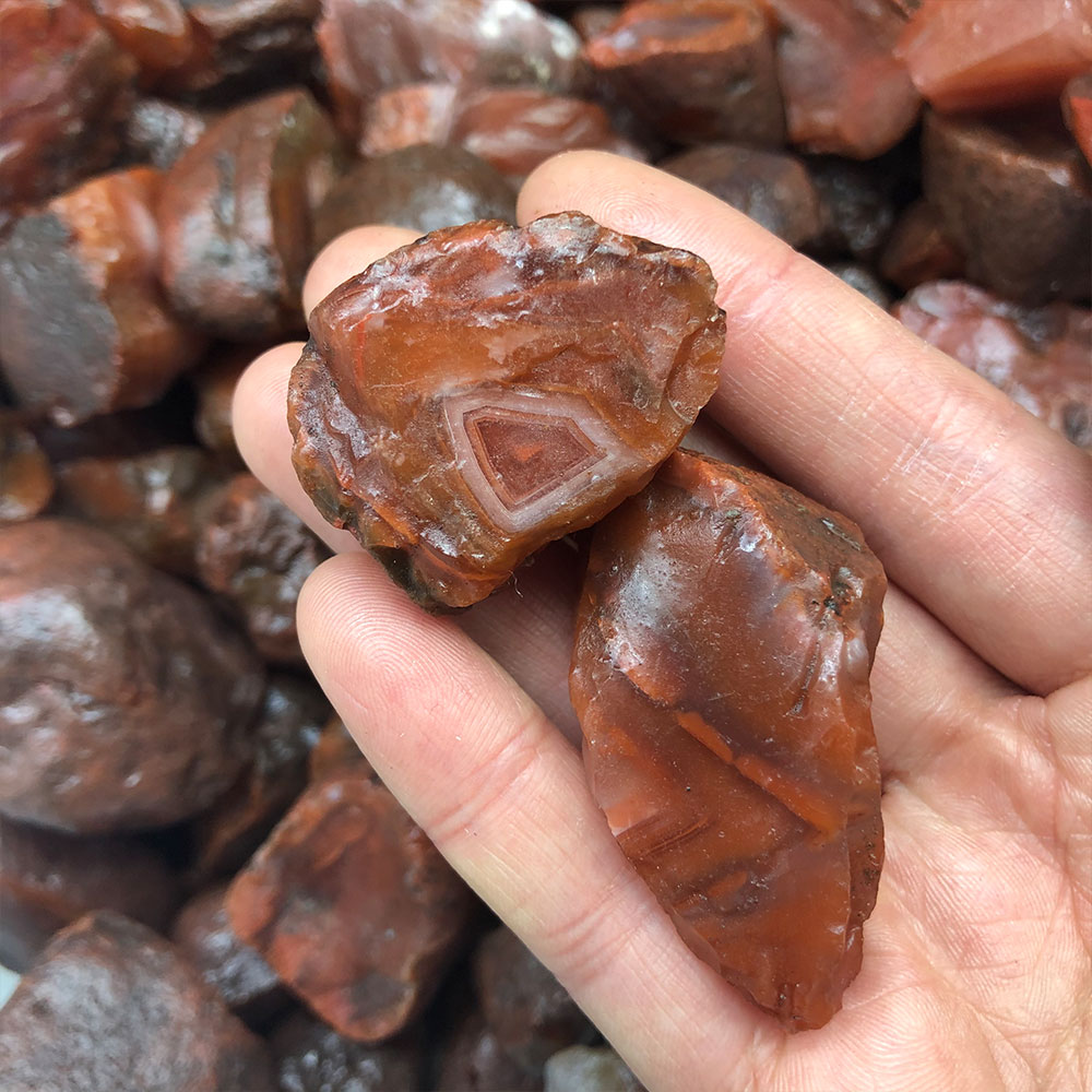 1 Máy Tính Ngẫu Nhiên Thô Nguy - đánh giá và giá Aquarium Marine Stone
