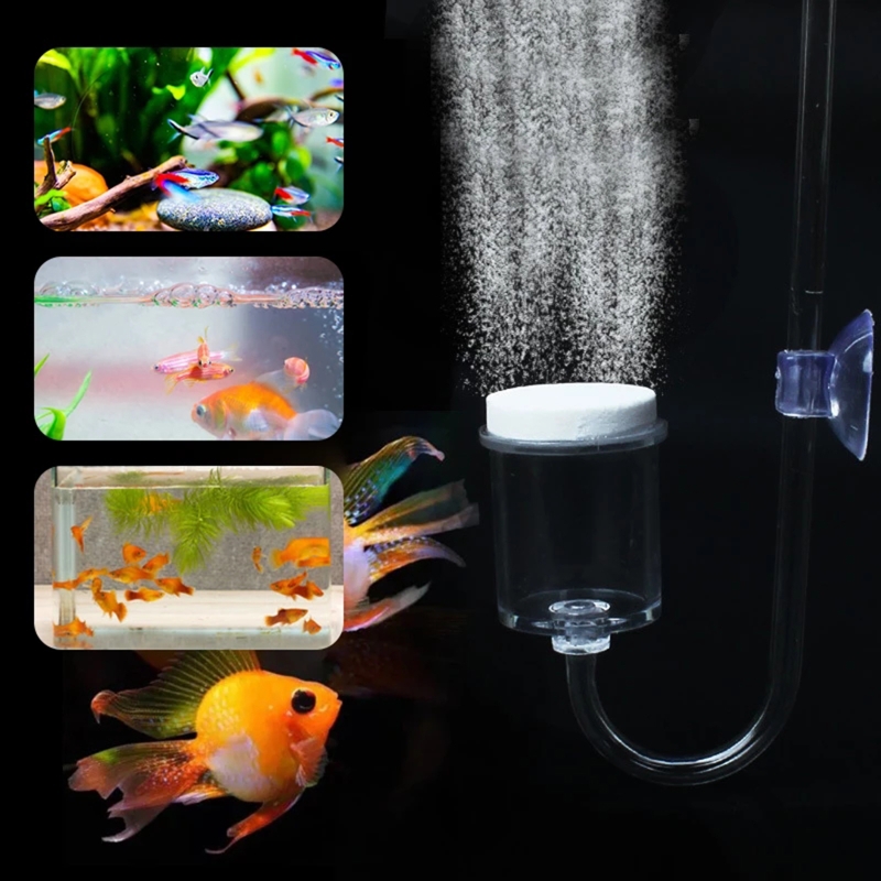 4pcs Set DIY CO2 Diffuser For  - đánh giá và giá Marine Aquarium Live