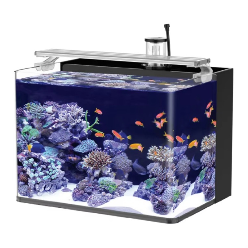 Table Curved Saltwater Marine  - đánh giá và giá Marine Aquarium Live